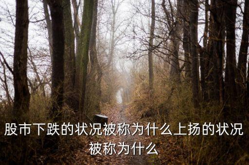 股市下跌的狀況被稱為什么上揚(yáng)的狀況被稱為什么