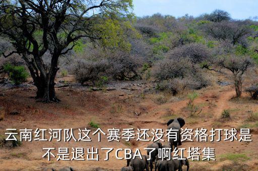 云南紅河隊(duì)這個(gè)賽季還沒(méi)有資格打球是不是退出了CBA了啊紅塔集