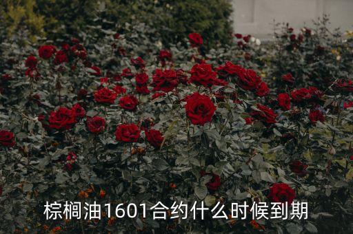 棕櫚油1601合約什么時(shí)候到期