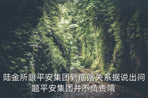 陸金所跟平安銀行什么關(guān)系，陸金所平安到底啥關(guān)系