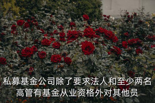 私募基金公司除了要求法人和至少兩名高管有基金從業(yè)資格外對其他員