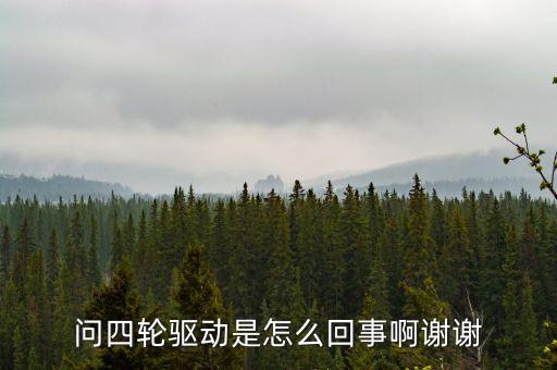 為什么多輪驅(qū)動，問四輪驅(qū)動是怎么回事啊謝謝