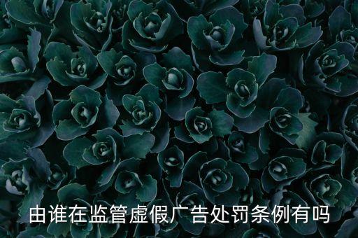由誰在監(jiān)管虛假廣告處罰條例有嗎