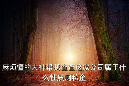 差旅天下企業(yè)是什么性質(zhì)，有沒有人知道差旅管理公司具體是做什么的