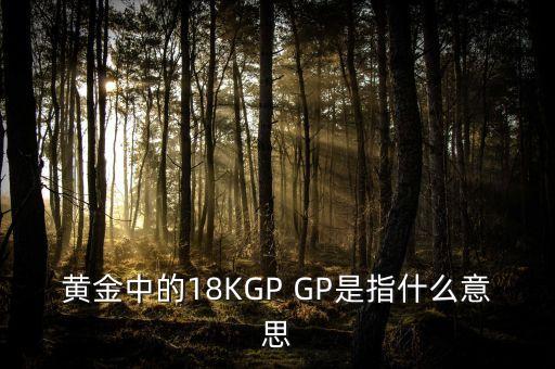 黃金中的18KGP GP是指什么意思