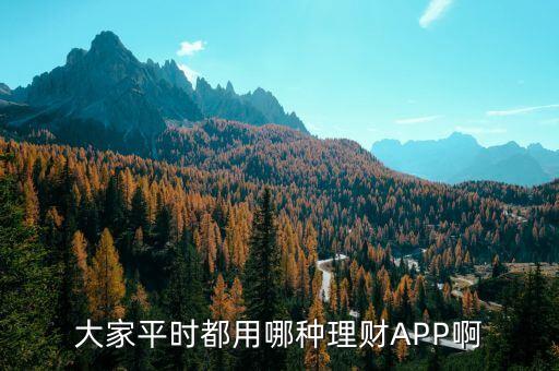 你們一般使用什么理財(cái)軟件，大家平時(shí)都用哪種理財(cái)APP啊