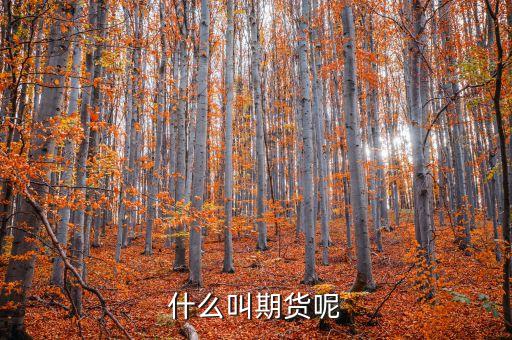 什么叫期貨呢