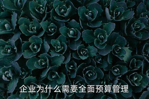 為什么進(jìn)行預(yù)算管理制度改革，銀行預(yù)算管理產(chǎn)生原因與背景