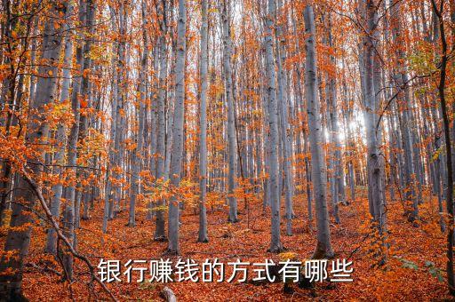 銀行賺錢(qián)的方式有哪些