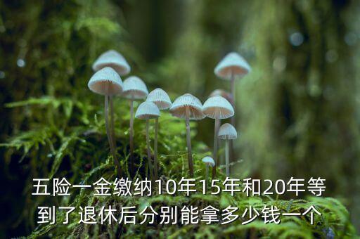 五險(xiǎn)一金繳納10年15年和20年等到了退休后分別能拿多少錢一個(gè)