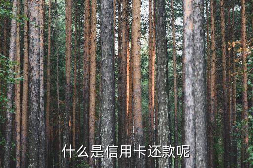 刷還信用卡是什么意思，什么是信用卡還款呢