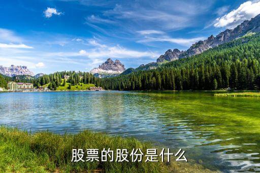 股票的股份是什么