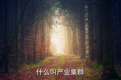什么是文化產(chǎn)業(yè)集群，什么叫產(chǎn)業(yè)集群化