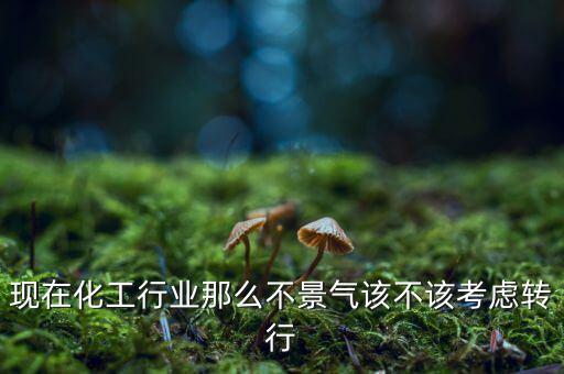 現(xiàn)在化工行業(yè)那么不景氣該不該考慮轉行
