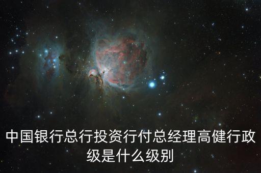 中投總經(jīng)理是什么級(jí)別，中國(guó)銀行總行投資行付總經(jīng)理高健行政級(jí)是什么級(jí)別