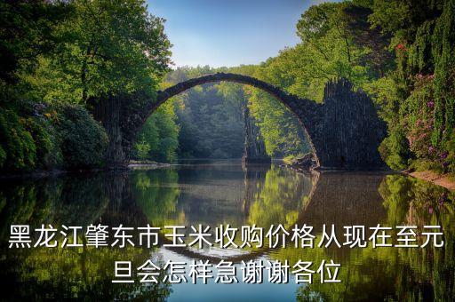 黑龍江肇東市玉米收購價格從現(xiàn)在至元旦會怎樣急謝謝各位