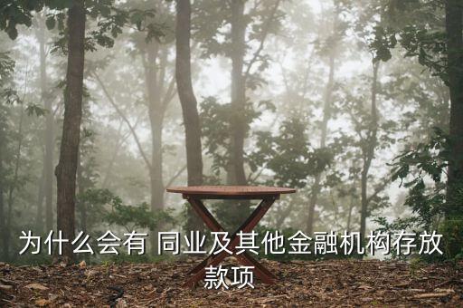 為什么會有 同業(yè)及其他金融機構(gòu)存放款項