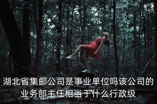 湖北省集郵公司是事業(yè)單位嗎該公司的業(yè)務(wù)部主任相當(dāng)于什么行政級(jí)