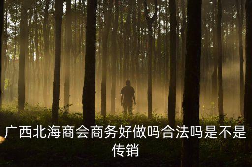 鼎固房地產(chǎn)公司汪平清是做什么的，廣西北海商會商務(wù)好做嗎合法嗎是不是傳銷