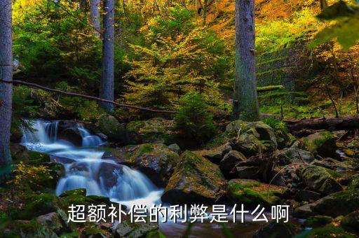 超額補(bǔ)貼是什么，超額補(bǔ)償?shù)睦资鞘裁窗?/></a></span><span id=