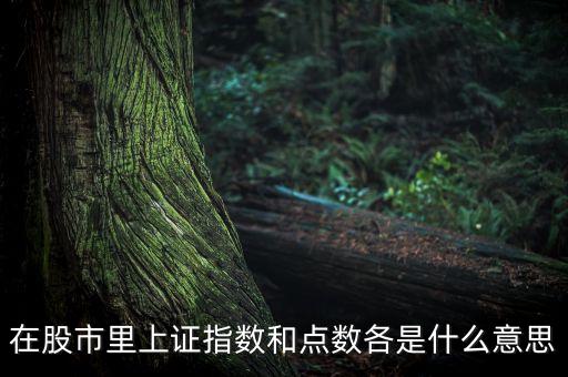上證指數(shù)一個(gè)點(diǎn)什么意思，點(diǎn)在股票中是什么概念上漲1點(diǎn)就是上漲01嗎