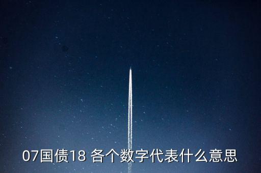 07國債18 各個數(shù)字代表什么意思
