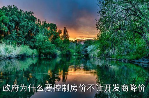 政府為什么要控制房價不讓開發(fā)商降價