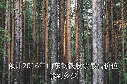 山東鋼鐵股票歷史最高什么價錢，預計2016年山東鋼鐵股票最高價位能到多少