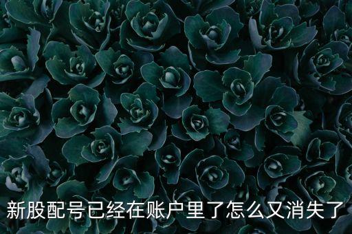新股配號已經(jīng)在賬戶里了怎么又消失了