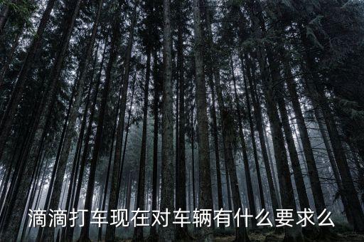 滴滴打車現(xiàn)在對車輛有什么要求么