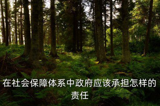 在社會(huì)保障體系中政府應(yīng)該承擔(dān)怎樣的責(zé)任