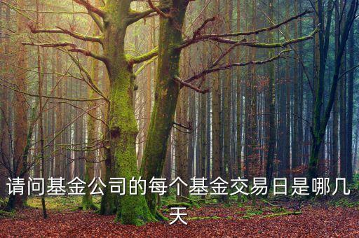基金交易日是什么時候，請問正?；鸾灰兹帐悄且惶?/></a></span><span id=