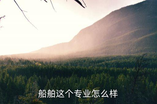 什么是船舶領域，船舶這個專業(yè)怎么樣