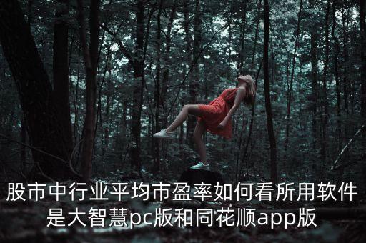 股市中行業(yè)平均市盈率如何看所用軟件是大智慧pc版和同花順app版
