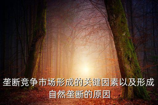 壟斷競(jìng)爭(zhēng)市場(chǎng)形成的關(guān)鍵因素以及形成自然壟斷的原因