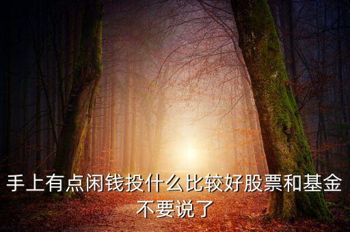 手上有點(diǎn)閑錢投什么比較好股票和基金不要說了