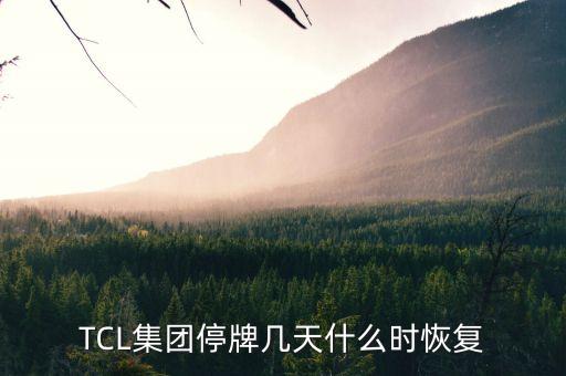 TCL集團(tuán)停牌幾天什么時恢復(fù)