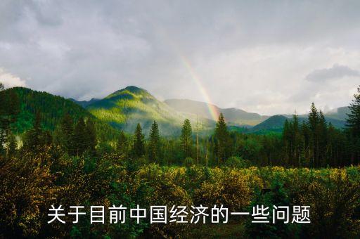 關于目前中國經(jīng)濟的一些問題