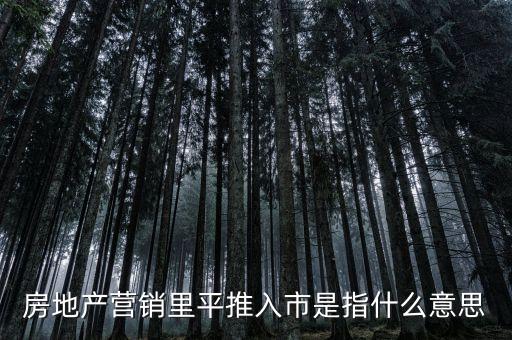 平價推盤是什么，關(guān)于新房推盤數(shù)的意思