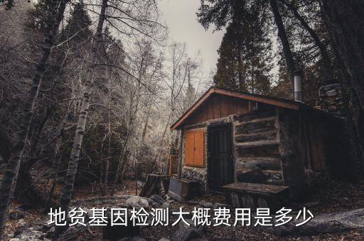 地貧基因檢測(cè)大概費(fèi)用是多少
