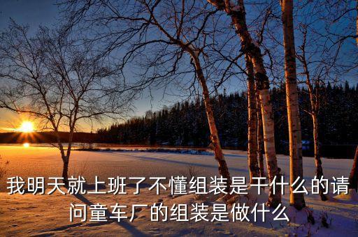 我明天就上班了不懂組裝是干什么的請問童車廠的組裝是做什么