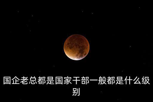 國企老總都是國家干部一般都是什么級別