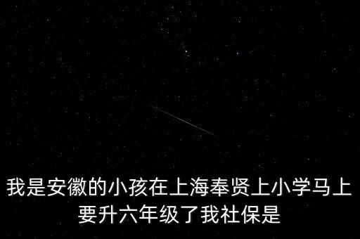 2015上海小孩交社保是什么時間，上海社保繳納時間規(guī)定