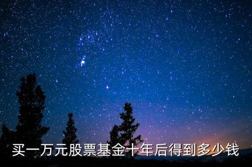 買一萬元股票基金十年后得到多少錢