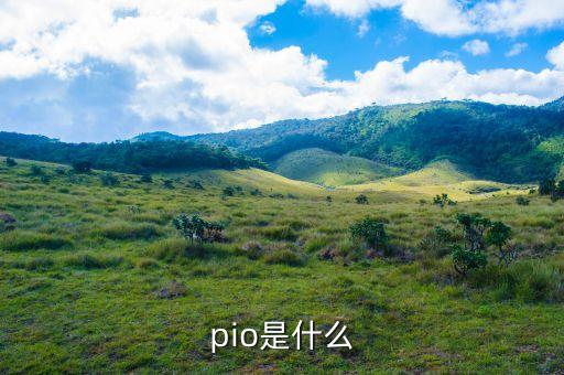 什么是華盛頓共識(shí)，共識(shí)是什么意思