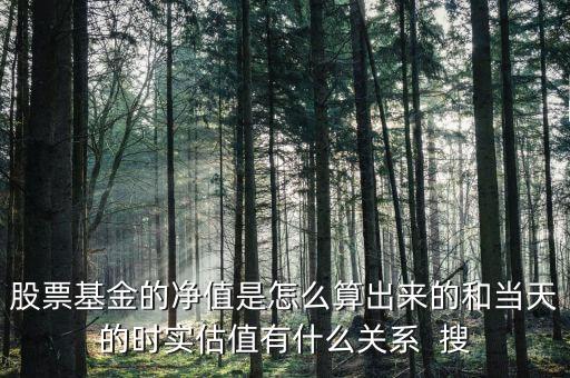股票基金的凈值是怎么算出來的和當(dāng)天的時實估值有什么關(guān)系  搜