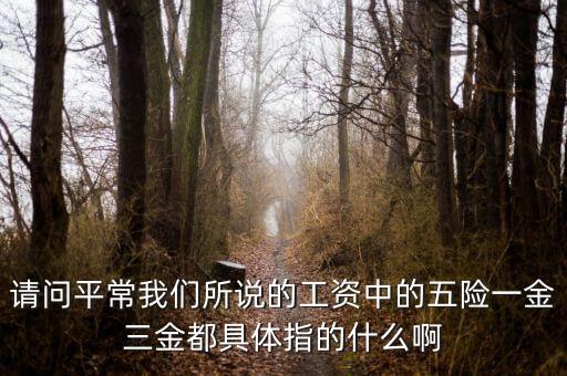 請問平常我們所說的工資中的五險一金三金都具體指的什么啊