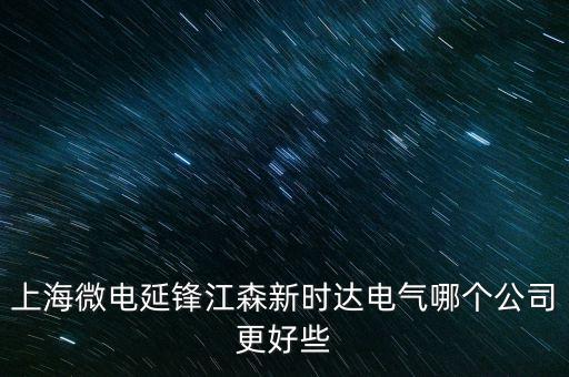 上海微電延鋒江森新時(shí)達(dá)電氣哪個(gè)公司更好些
