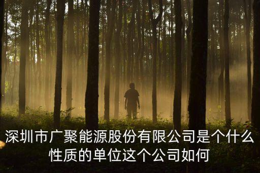 深圳市廣聚能源股份有限公司是個(gè)什么性質(zhì)的單位這個(gè)公司如何