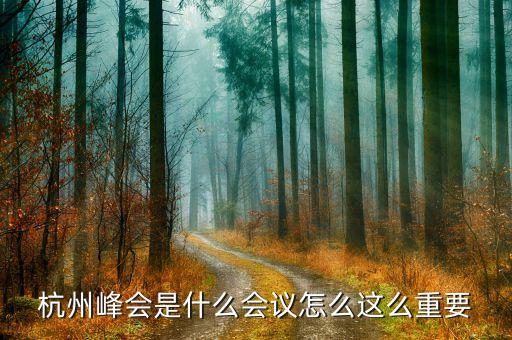 什么是杭州g20峰會，g20峰會在杭州哪里開